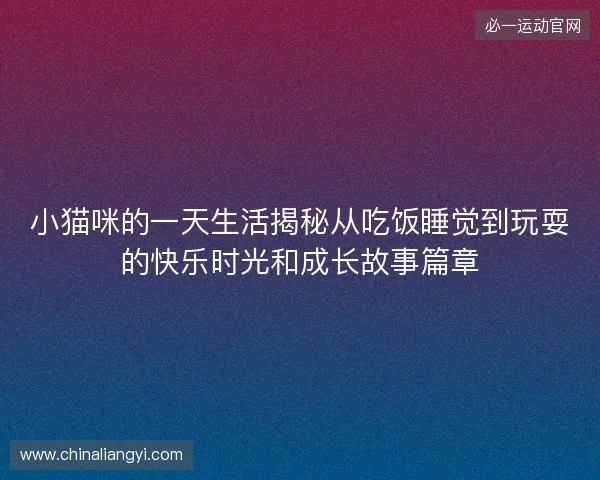 小猫咪的一天生活揭秘从吃饭睡觉到玩耍的快乐时光和成长故事篇章
